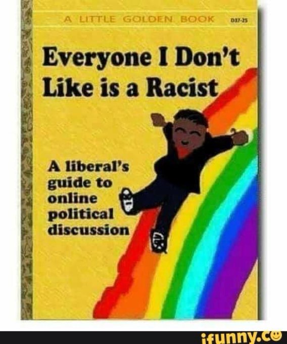 Cover of the book "Everyone I Don't Like is a Racist: A Liberal's Guide to Online Political Discussion."